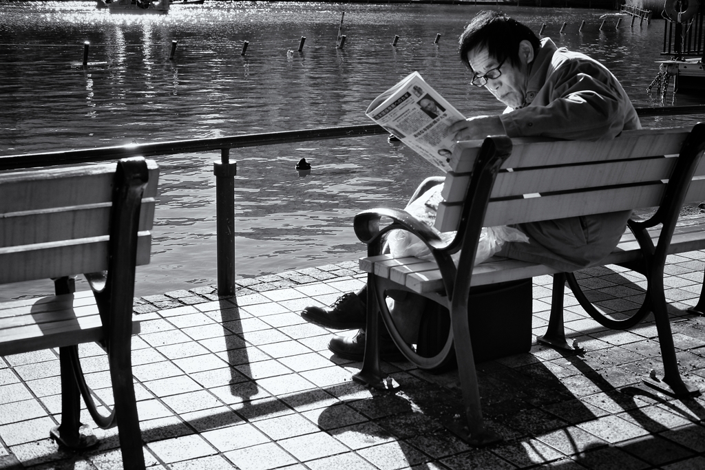 池畔で世界を読む