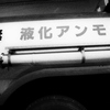 4004