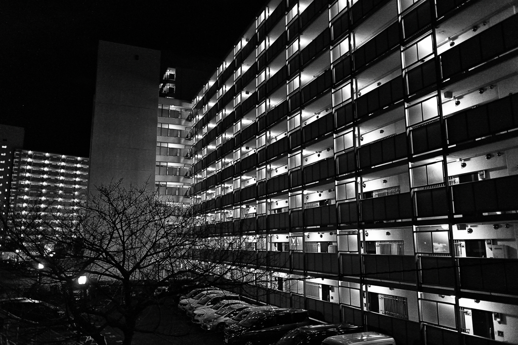 2024-01-31_0033