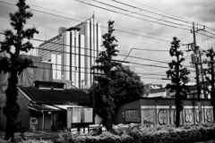 2023-05-12_0471