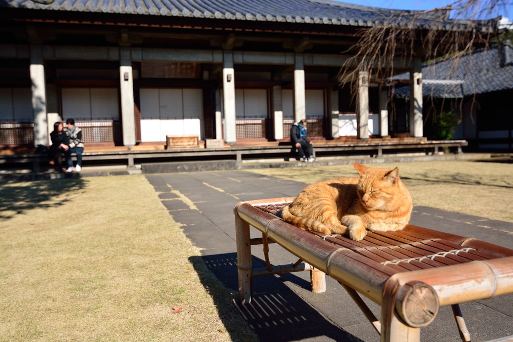 ひなたぼっこ