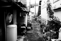 2022-07-21_0023