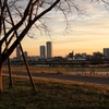 散歩道②