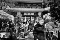 賀正・本門寺①