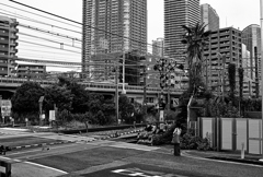2025-08-22_0483