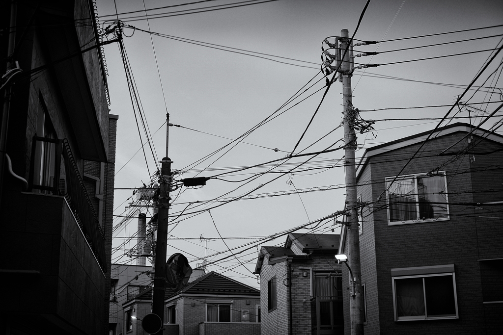 散歩道⑧