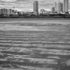 2022-11-25_0008