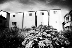 2024-08-01_0296