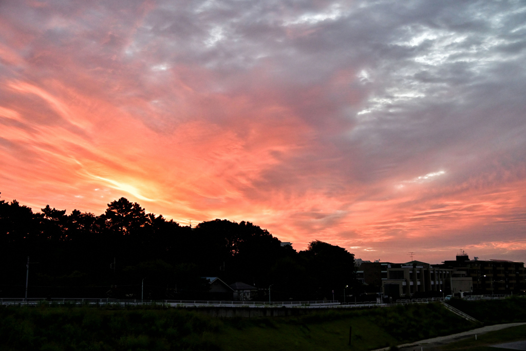 2023-10-08_1263