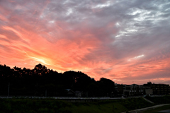 2023-10-08_1263