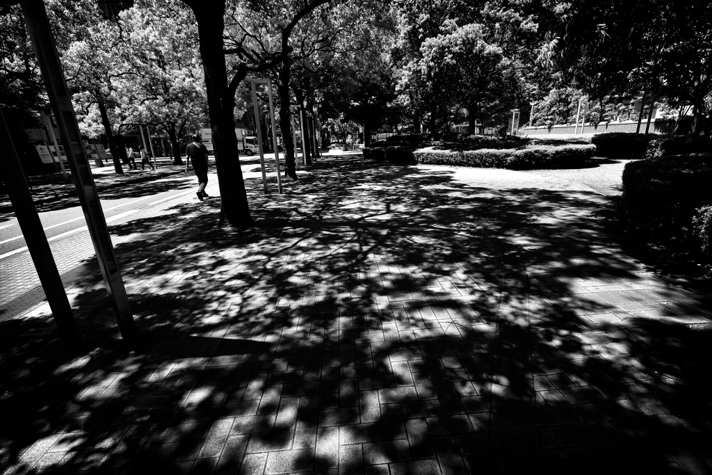 0209m_pb