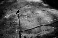 2024-09-03_1072