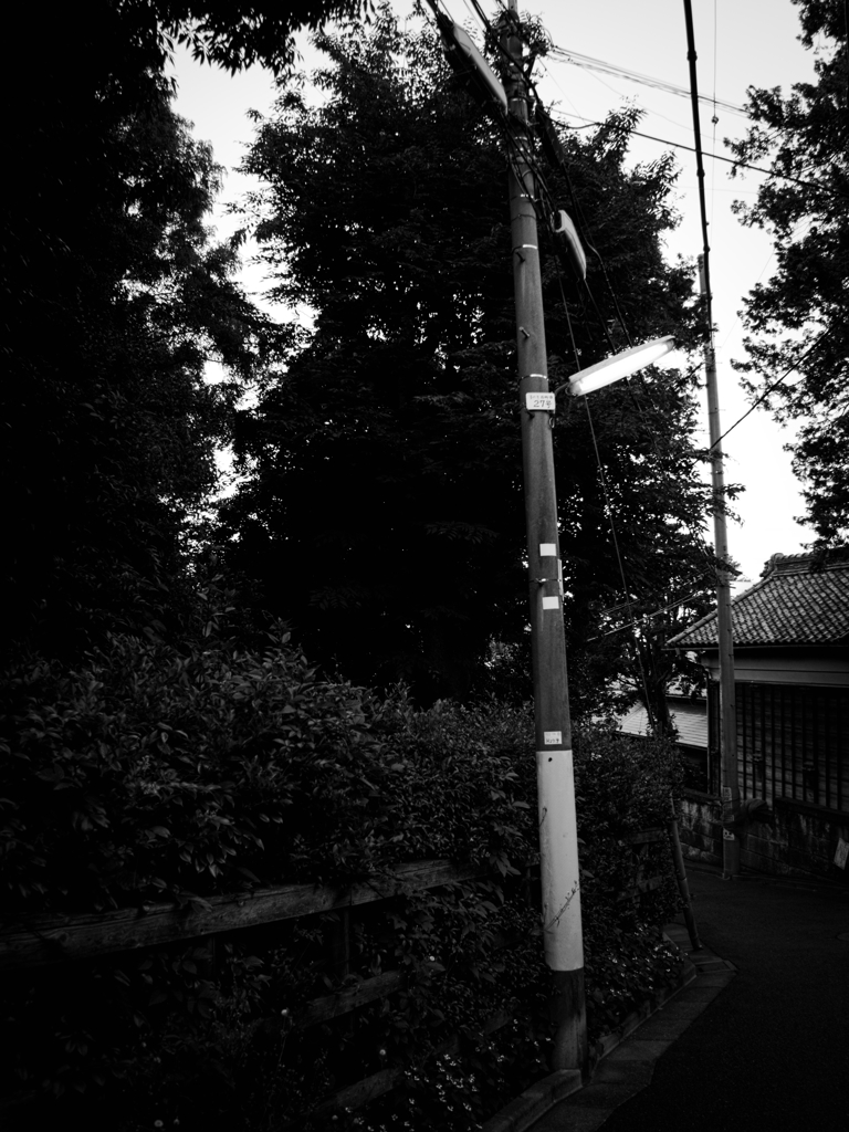 夕暮れの散歩②