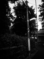 夕暮れの散歩②