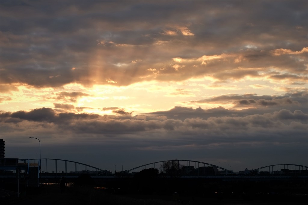 多摩川大橋 光芒