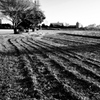 2022-10-29_0029