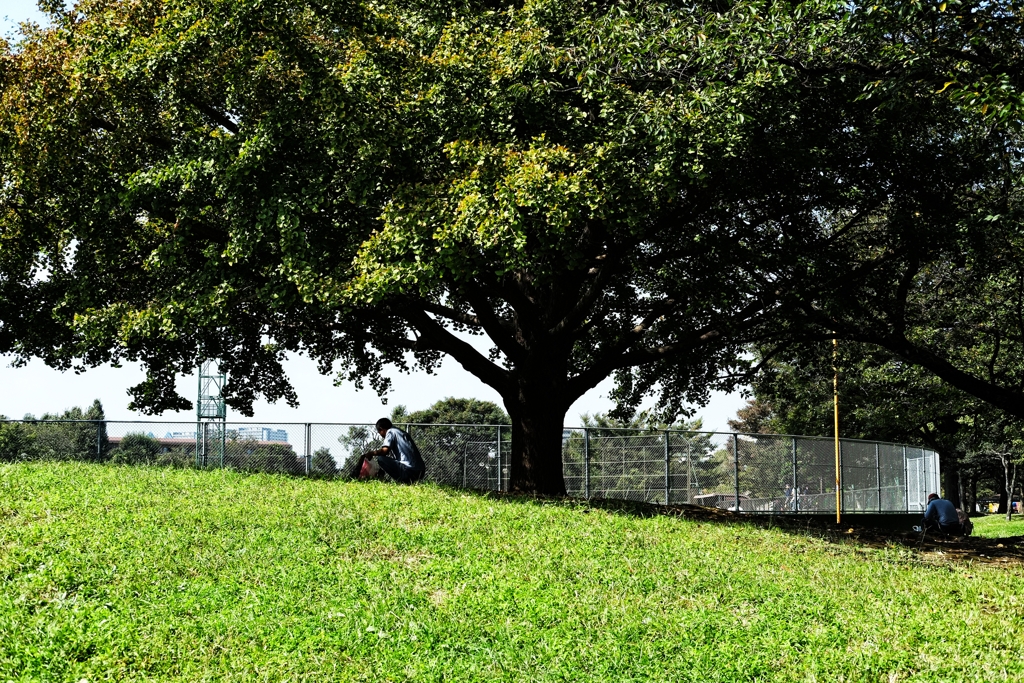 いいなぁ、こんな休日
