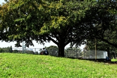 いいなぁ、こんな休日