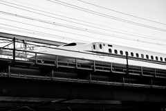 2025-01-20_5091