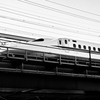 2025-01-20_5091