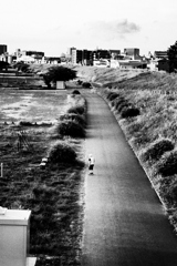 2024-08-05_0427