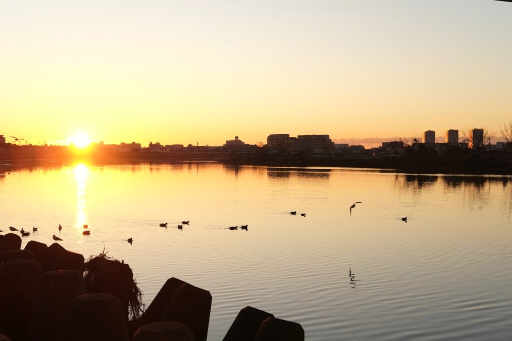 やっと初日の出？