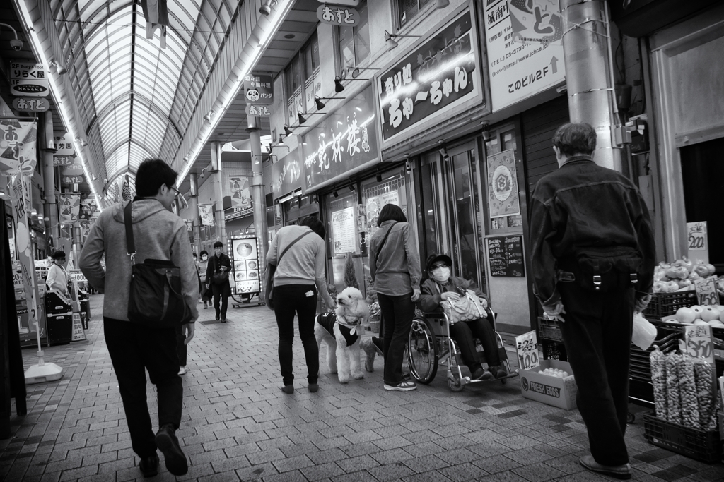 おしゃれなワンコ