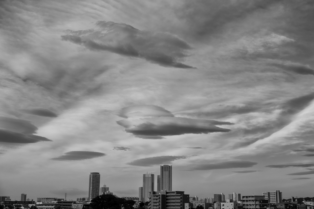 2023-05-06_0386
