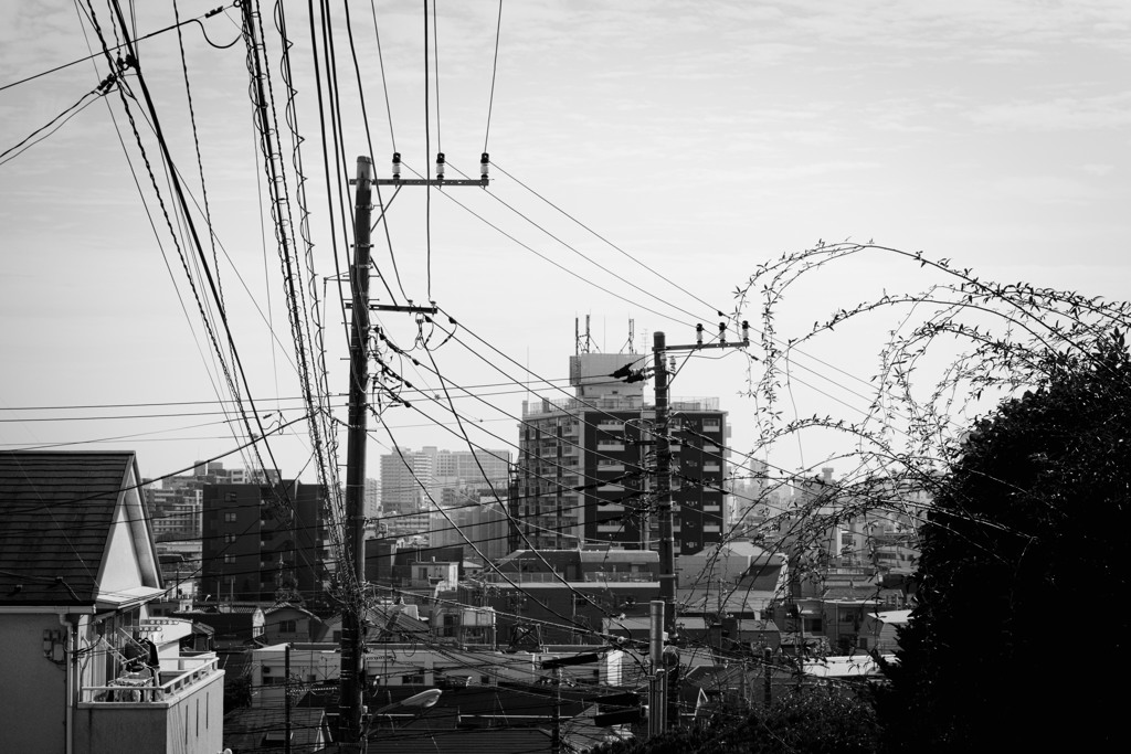 電線のある風景