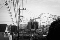 電線のある風景