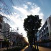 冬の夕暮れ時