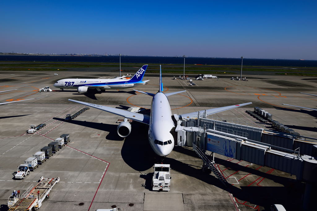 Haneda (1)