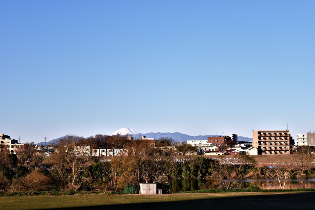 土手からの富士