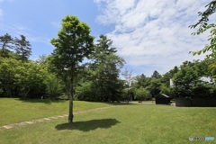撮影旅行（軽井沢編）Ⅴ