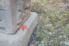 紅葉Ⅶ