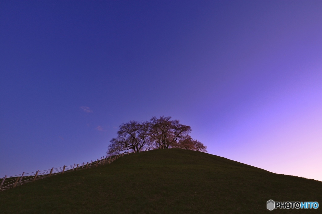 夕暮れの古墳公園