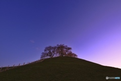 夕暮れの古墳公園