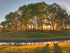 公園Ⅳ