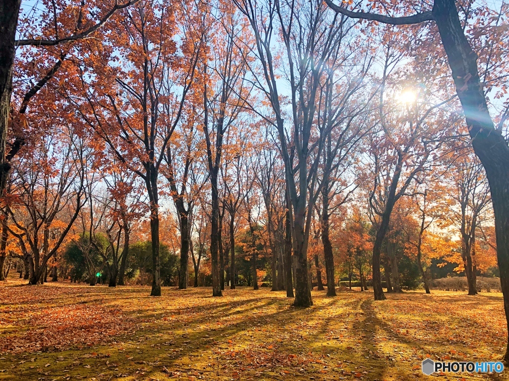 公園Ⅲ