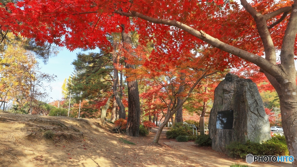 青空と紅葉