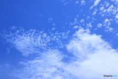 夏空Ⅰ