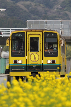 いすみ200型207号