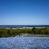 ひたち海浜公園