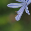 夏潤