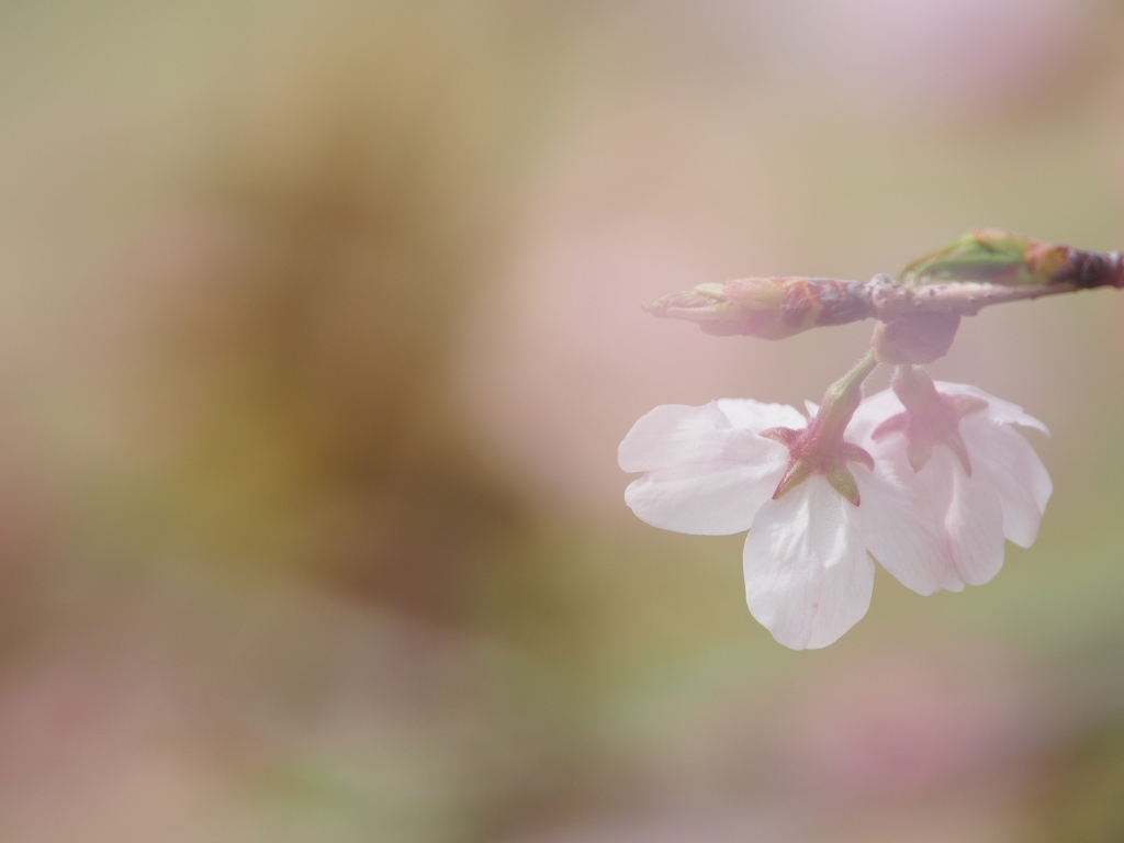 ふたり。。。静香。