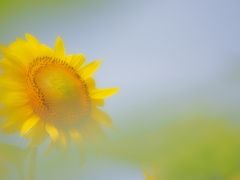 大きく開く。。。