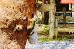 リスさん２