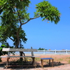 夏のベンチ