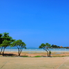 海岸