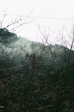 雨上がり